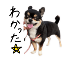 hanachan stamp52