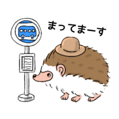 Japanese Hedgehog daily life