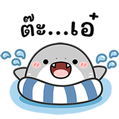 Happy Shark on summer!