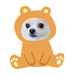 pokopoko_20220129203400