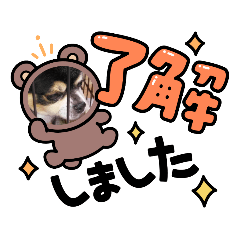 saya_20220129210026