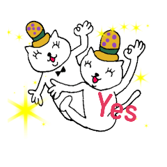 HAT CAT series 2