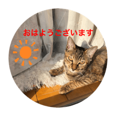 Saya_20220129223518