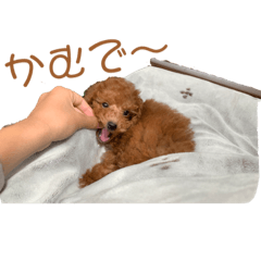 ryuki_20220130000529