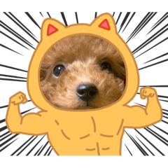 ryuki_20220130002733