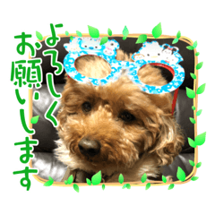 Emily_20220130080229