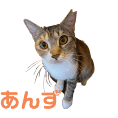 ayakiti_20220130093007