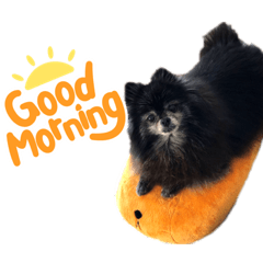 Kazuki_20220129175447