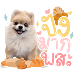 Iamnook_20220129014911