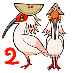 Crested Ibis Kin2