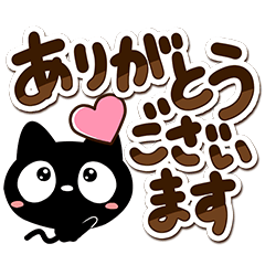 Very cute black cat51