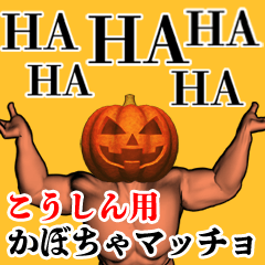 Koushin Pumpkin macho