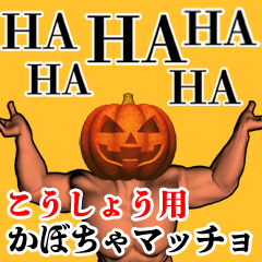 Koushou Pumpkin macho