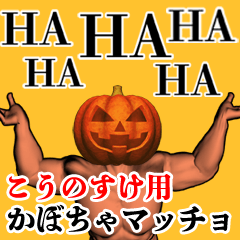 Kounosuke Pumpkin macho