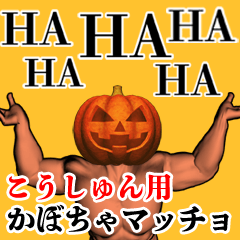 Koushun Pumpkin macho