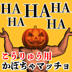 Kouryuu Pumpkin macho