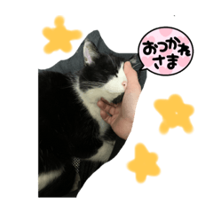 chie_20220129223837
