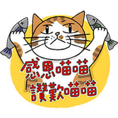 Naughty cats: Xiao p mao