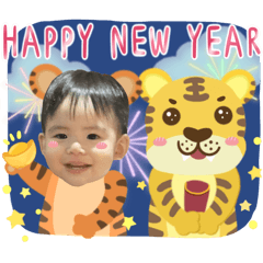 Ray's Year of Tiger