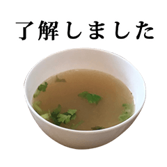 Soup with coriander 4