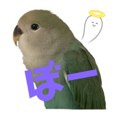 Yuka_20220129214549