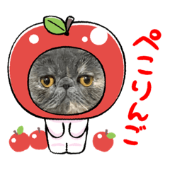 ponzu_20220130032958