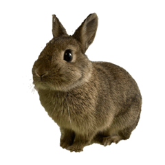 akiko_20220130123227