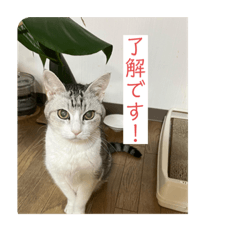 somys_20220130125447