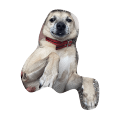 我們這一家：-*