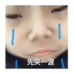 大樹懶的貼圖
