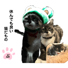 purico_20220130235455