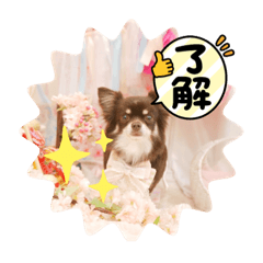 Yuka_20220131035035