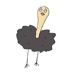 Ostrich with eyebrows