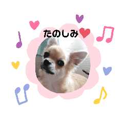 Shiho_20220130161822