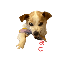 Midesu_20220130173954