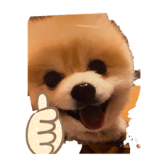 Sayuri_20220130164850