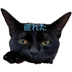 yuka_20220130163145