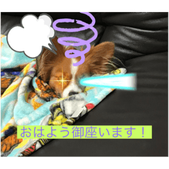 HARUTA_20220130225119