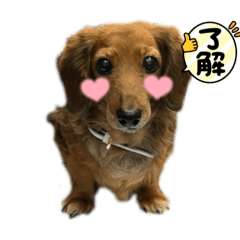 riho0904
