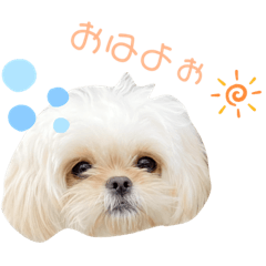 arisa_20220131023537