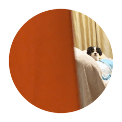 Natsumi_20220131012513