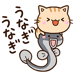 Cats and eel