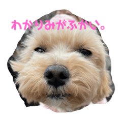 mogurachan_20220131152638
