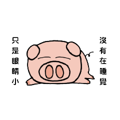 小眼的豬豬