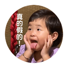 豆子日常表情2