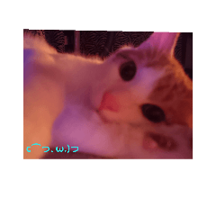 beloved son's name is Rui.