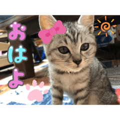 yuka_20220131214328