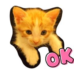 SATOSHI_20220131222449