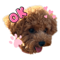 honmi_20220201001951