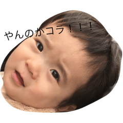 yuzu mitsu